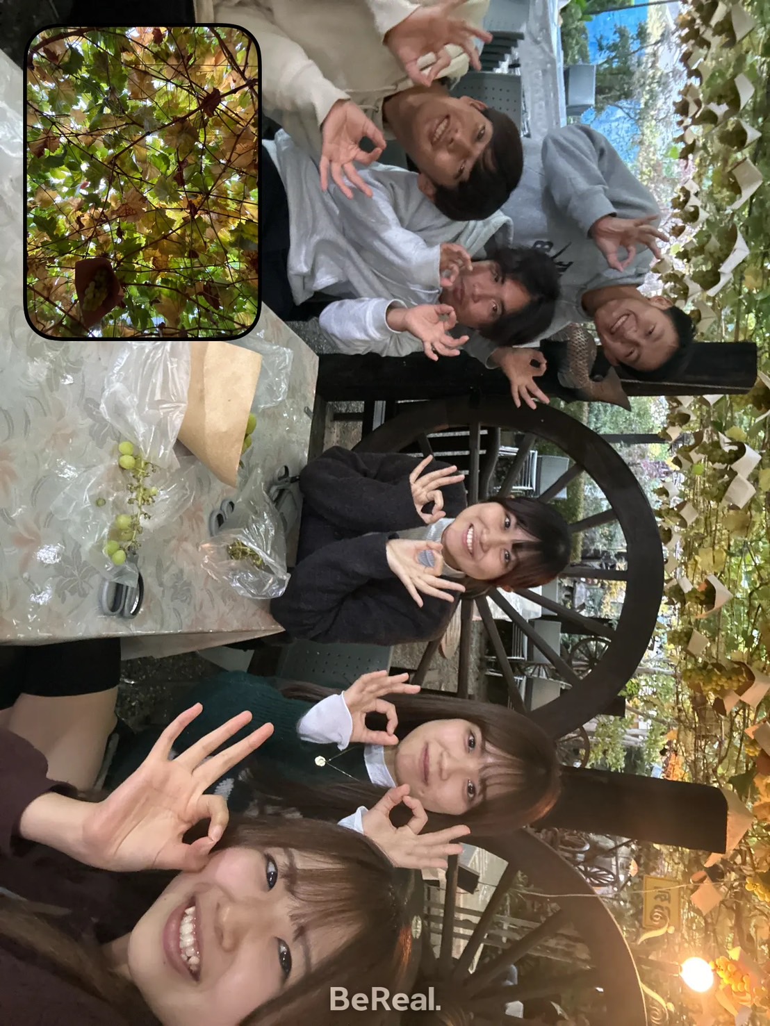 ファミリー企画